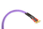 Melodika MDSC1560s Kabel Głośnikowy Purple Rain 2x1,5mm2 2 x 6,0m z Widełkami Salon Poznań Wrocław w sklepie internetowym audionet.pl 