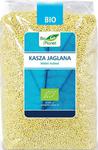 KASZA JAGLANA BIO 1 kg - BIO PLANET w sklepie internetowym biogo.pl