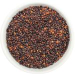 QUINOA CZARNA KOMOSA RYŻOWA BIO (SUROWIEC) 25 kg w sklepie internetowym biogo.pl