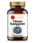 Tribulus Buzdyganek 90 kapsułek Yango w sklepie internetowym biogo.pl