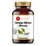 Ginkgo biloba ekstrakt 90 kapsułek Yango w sklepie internetowym biogo.pl