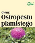 Flos Ostropest Owoc 100G Wspomaga Pracę Wątroby w sklepie internetowym biogo.pl