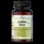 MORWA BIAŁA+ 90 tabletek HERBAPOL w sklepie internetowym biogo.pl