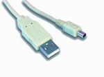 GEMBIRD KABEL USB AM --> MINI USB (MITSUMI) 1,8M *CC-USB-AM4P-6 *10 w sklepie internetowym Frikomp.pl