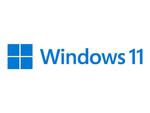 MS ESD Windows Professional 11 64-bit All Languages Online Product Key License 1 License Downloadable ESD NR w sklepie internetowym CTI Store