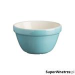 Miseczka do puddingu 0,9l Mason Cash Colour Mix Pudding Basins turkusowa w sklepie internetowym SuperWnetrze.pl