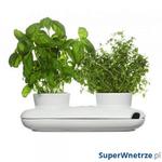 Podwójny wazon na zioła Sagaform Herbs & Spices w sklepie internetowym SuperWnetrze.pl