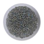 Koraliki TOHO Round 11/0 10g #176BF Transparent-Rainbow-Frosted Gray w sklepie internetowym Dekorynka