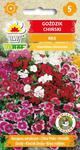 Goździk chiński MIX - 1g (Dianthus chinensis) w sklepie internetowym 24garden.pl