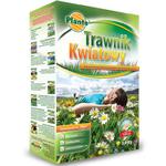TRAWNIK KWIATOWY 0,9 kg - dekoracyjny efekt naturalnej łąki kwiatowej w sklepie internetowym 24garden.pl