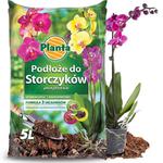 Ziemia - podłoże do storczyków 5L pH 5,0 - 6,0 Planta w sklepie internetowym 24garden.pl