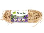 Rafia naturalna Plantina 100g w sklepie internetowym 24garden.pl