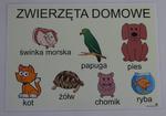 Zwierzęta domowe - plansza demonstracyjna w sklepie internetowym pomoceterapeutyczne.com