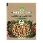 Pszenica 50g - Nasiona na kiełki EKO - Dary Natury w sklepie internetowym Ziolowyzakatek.sklep.pl