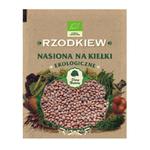 Rzodkiew 30g - Nasiona na kiełki EKO - Dary Natury w sklepie internetowym Ziolowyzakatek.sklep.pl