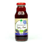 Syrop z Aronii EKO 270ml - Dary Natury w sklepie internetowym Ziolowyzakatek.sklep.pl