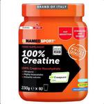 NAMEDSPORT kreatyna 100% proszek 250g w sklepie internetowym DigitalPartner