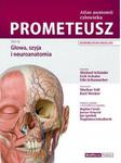 Atlas anatomii człowieka PROMETEUSZ Tom 3 Głowa, szyja i neuroanatomia Mianownictwo angielskie i polskie w sklepie internetowym Sportowo-Medyczna.pl