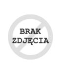 Duplex ADS 100 zewnętrzny czujnik temperatury w sklepie internetowym remont.biz.pl
