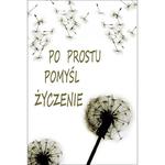 Dmuchawiec – magnes w sklepie internetowym cytatnaszczescie.pl