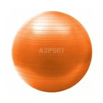 Piłka gimnastyczna, fitness, do ćwiczeń YB02 55cm + pompka HMS w sklepie internetowym Asport.pl