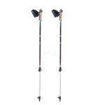 Kije Nordic Walking, regulowana długość 105-140cm, 2-częściowe FOOG Spokey w sklepie internetowym Asport.pl