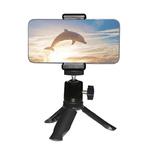 Statyw tripod uchwyt na telefon kamerę sportową GoPro w sklepie internetowym Hurtownia Przemysłowa