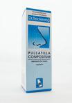 Dr Reckeweg R96 Pulsatilla compositum aerozol do nosa 15 ml w sklepie internetowym AquaVitae.com.pl