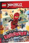 LEGO LMA701 Ninjago Misja Labirynty w sklepie internetowym abadoo.pl 