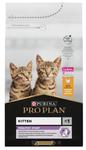 PURINA Pro Plan Original Kitten - sucha karma dla kociąt oraz karmiących i ciężarnych kotek - 1,5 kg w sklepie internetowym Komidom