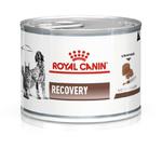 Veterinary Recovery - mokra karma dla psów i kotów - puszka 195 g w sklepie internetowym Komidom