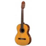 VGS (VG500140) Gitara koncertowa VGS Student Natural romiar 4/4 naturalna w sklepie internetowym Muzyczny.pl