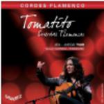 Savarez (656357) T50R Cordes Flamenco struny do gitary klasycznej - Normal w sklepie internetowym Muzyczny.pl