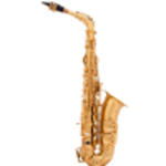 Arnolds&Sons AAS 110 saksofon altowy w sklepie internetowym Muzyczny.pl