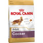 Emaga Karma Royal Canin Cocker Adult 12 kg Dorosły Kukurydza Ptaki w sklepie internetowym emaga.pl