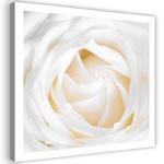 Emaga Obraz na płótnie, Biała róża kwiat - 60x60 w sklepie internetowym emaga.pl