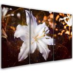 Emaga Obraz tryptyk na płótnie, Biała lilia na brązowym tle - 150x100 w sklepie internetowym emaga.pl