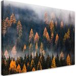 Emaga Obraz na płótnie, Jesienny krajobraz drzew - 120x80 w sklepie internetowym emaga.pl