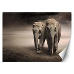 Emaga Fototapeta, Para słoni afryka - 250x175 w sklepie internetowym emaga.pl