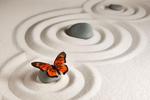 Fototapeta zen motyl i kamienie 719a w sklepie internetowym Deco-Wall.pl