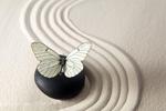 Fototapeta zen motyl 720a w sklepie internetowym Deco-Wall.pl