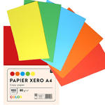 PAPIER XERO A4 KOLOROWY 100 KARTEK 5 INTENSYWNYCH.KOLORĂW INTERDRUK w sklepie internetowym Portfele.net