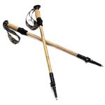 Kijki Nordic Walking Spokey Bastone Eco 929465 w sklepie internetowym e-ciuszki.com