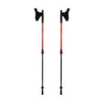 Kijki nordic walking Alpinus Braunberg NX43601 w sklepie internetowym e-ciuszki.com