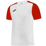 Koszulka piłkarska Joma Academy IV Sleeve 101968.206 w sklepie internetowym e-ciuszki.com