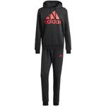 Dres adidas Big Logo Terry Track Suit M IP5553 w sklepie internetowym e-ciuszki.com