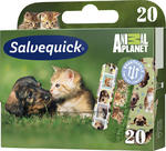 Salvequick plaster zestaw dla dzieci Animal Planet 20szt. (51030059) w sklepie internetowym sklep.dib.com.pl