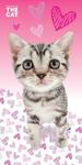Ręcznik bawełniany 70x140 Koty 9158 The Cat 03 szary kotek serduszka różowe w sklepie internetowym Karo.waw.pl