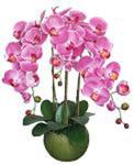 Orchidea storczyk XL 90cm rózne kolory zobacz galerię w sklepie internetowym Extrahome.pl