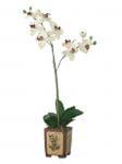 Orchidea biała w ceramicznej doniczce 90cm w sklepie internetowym Extrahome.pl